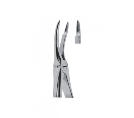 Extracting Forceps